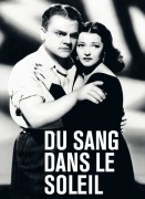 Voir Du sang dans le soleil en streaming et VOD