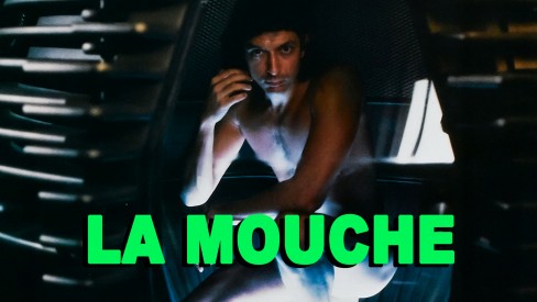 Voir La mouche en streaming et VOD