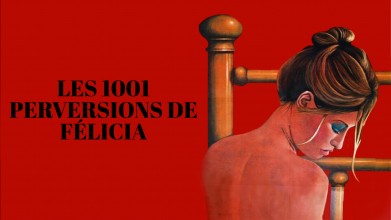 Voir Les 1001 perversions de Felicia en streaming et VOD