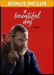 Voir A Beautiful Day en streaming et VOD