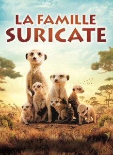 Voir La famille Suricate en streaming sur Filmo