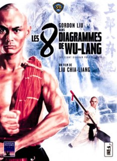 Voir Les 8 diagrammes de Wu-Lang en streaming sur Filmo