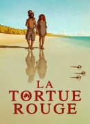 Voir La tortue rouge en streaming et VOD