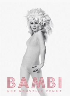 Voir Bambi : une femme nouvelle en streaming sur Filmo