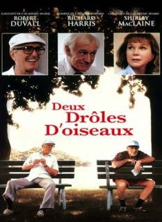 Voir Deux drôles d'oiseaux en streaming sur Filmo