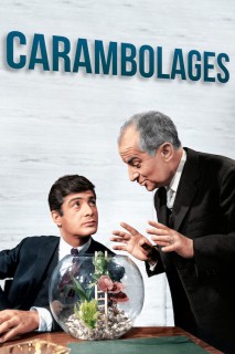 Voir Carambolages en streaming sur Filmo