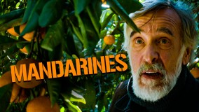 Voir Mandarines en streaming et VOD