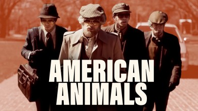 Voir American animals en streaming et VOD