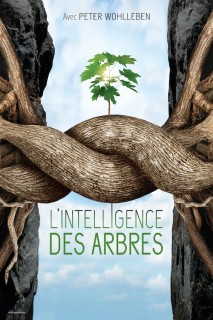 Voir L'intelligence des arbres en streaming sur Filmo