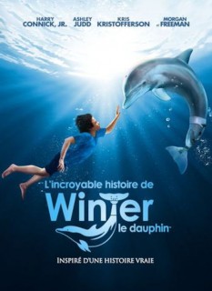 Voir L'incroyable histoire de Winter le dauphin en streaming sur Filmo