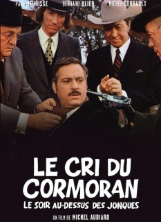 Voir Le cri du cormoran le soir au-dessus des jonques en streaming sur Filmo