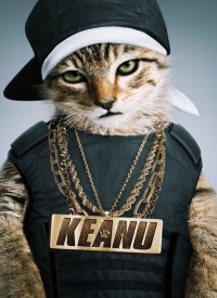 Voir Keanu en streaming et VOD