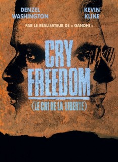 Voir Le cri de la liberté en streaming sur Filmo