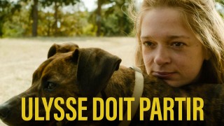 Voir Ulysse doit partir en streaming et VOD