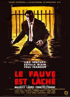 Voir Le fauve est lâché en streaming sur Filmo