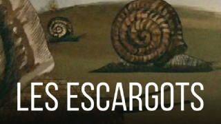 Voir Les escargots en streaming et VOD