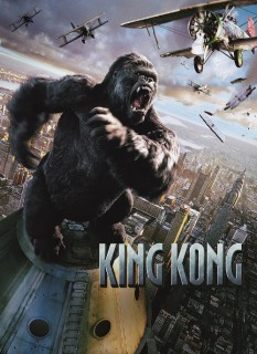 Voir King kong en streaming sur Filmo