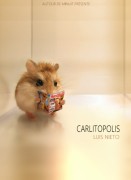 Voir Carlitopolis en streaming et VOD