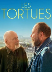 Voir Les tortues en streaming et VOD