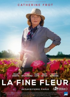 Voir La fine fleur en streaming sur Filmo