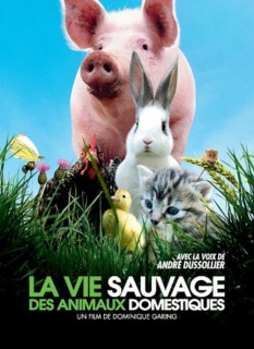 Voir La vie sauvage des animaux domestiques en streaming sur Filmo