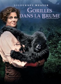 Voir Gorilles dans la brume en streaming et VOD