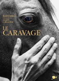 Voir Le Caravage en streaming et VOD