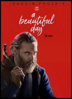 Voir A Beautiful Day en streaming sur Filmo