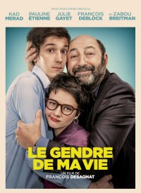 Voir Le gendre de ma vie en streaming et VOD