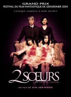 Voir 2 soeurs en streaming sur Filmo