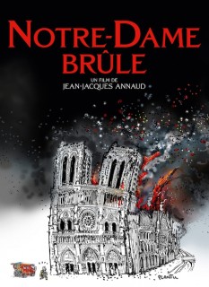 Voir Notre-Dame brûle en streaming sur Filmo