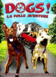 Voir Gang de chiens en streaming sur Filmo