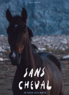 Voir Sans cheval en streaming sur Filmo