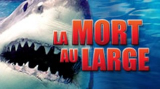 La mort au large