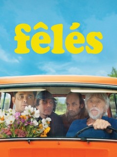 Voir Fêlés en streaming sur Filmo