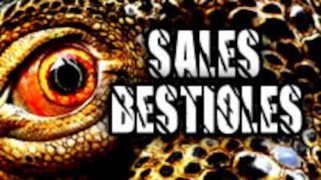 Sales bestioles