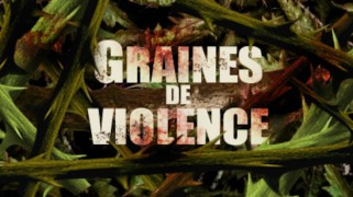 Graines de violence