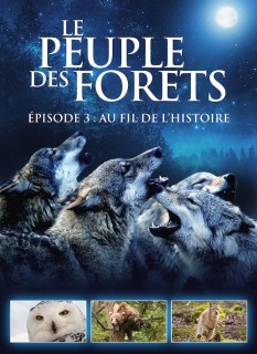 Voir Le peuple des forêts - épisode 3 : au fil de l'histoire en streaming sur Filmo