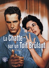 Voir La chatte sur un toit brûlant en streaming et VOD