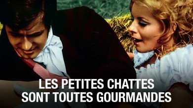 Voir Les petites chattes sont toutes gourmandes en streaming et VOD