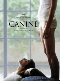 Voir Canine en streaming sur Filmo