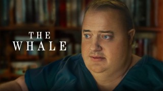 Voir The Whale en streaming et VOD