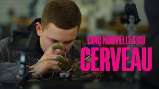 Voir Cinq nouvelles du cerveau en streaming et VOD