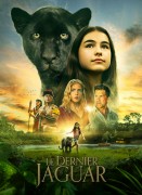 Voir Le Dernier Jaguar en streaming et VOD