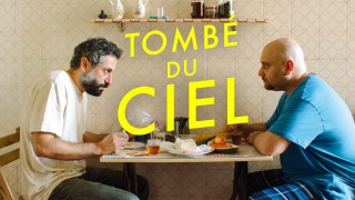 Voir Tombé du ciel en streaming et VOD