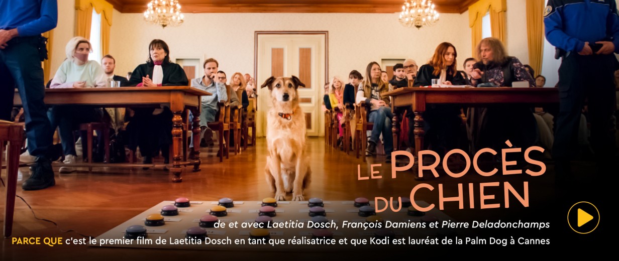 le procès du chien