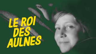 Voir Le Roi Des Aulnes en streaming et VOD