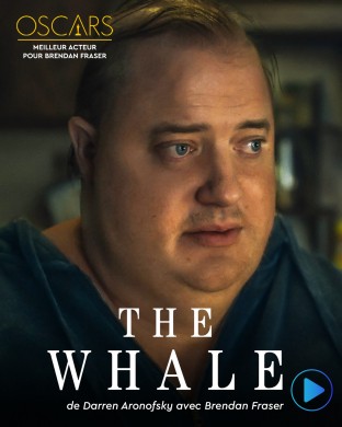 The whale