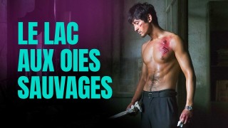 Voir Le lac aux oies sauvages en streaming et VOD