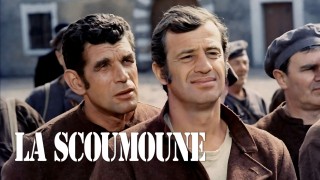 Voir La Scoumoune en streaming et VOD